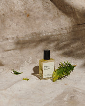 Load image into Gallery viewer, Le Long Fond Perfume Oil No.02